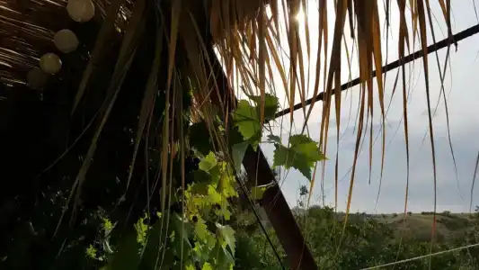 Замок грез - 87