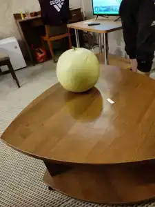 Спутник - 31