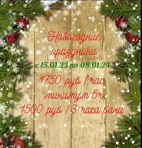 Бурый Лис - 49