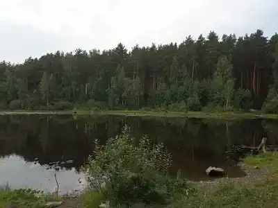 Мистер Фишер - 42