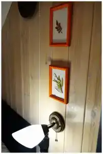 Пенеснарь - 62