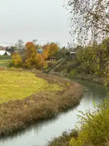 Любимый Суздаль - 37