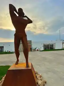 Астерия Меганом - 9