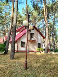 Энергетик - 95