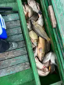 Квартет 3077 - 29