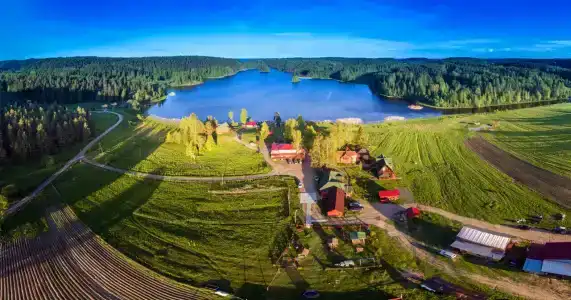 Микли-Ольгино - 53