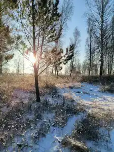 Ясная Поляна - 46