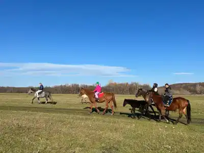 Ташлы - 25