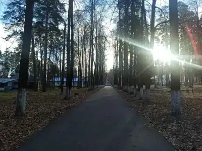 Городец - 16