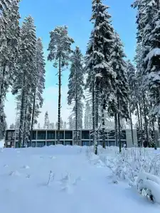 Игора. Времена года - 10