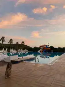 Andriake Beach Club - 65