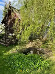 Серый Волк - 74