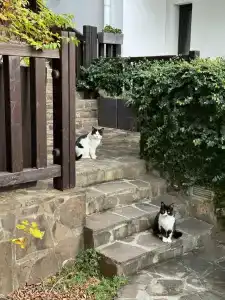 Морская Резиденция Санторини - 62