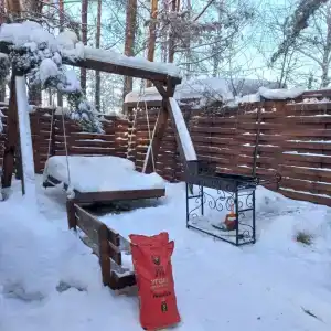 Магия леса - 43