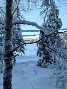 Стеклянный берег - 96