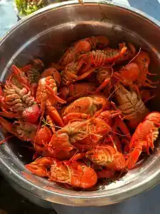 Тихая заводь - 52