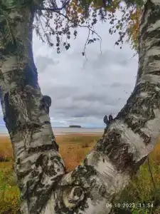 Три Берега - 71