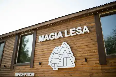 Магия леса - 16