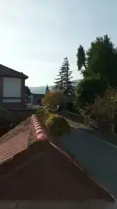 Aragvi - 28