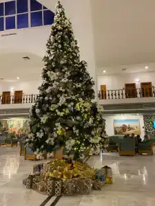 Desert Rose Resort - 14