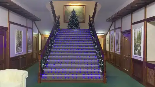 Сосновый бор - 1
