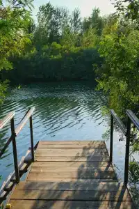 Тихая заводь - 28