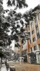 Novza Palace - 7
