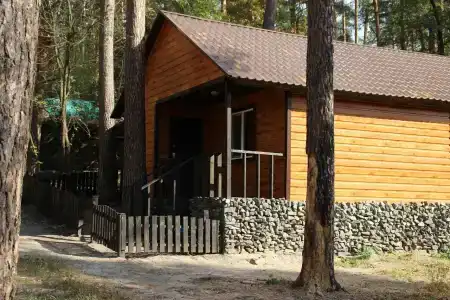 Жемчужина леса - 4