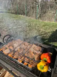 Стрижи - 48