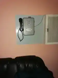Сосновые родники - 18