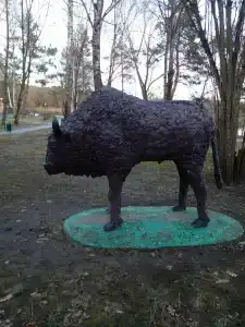 Пралеска - 44
