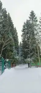 Искра - 74
