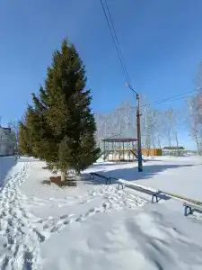 Дубравушка - 46