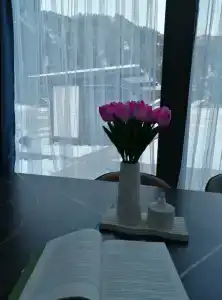 Altay dream house - 46