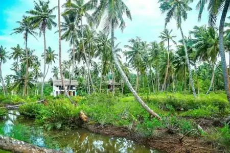 J, Unawatuna - 9