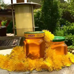Садху - 8