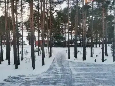 Прионежская Ривьера - 100