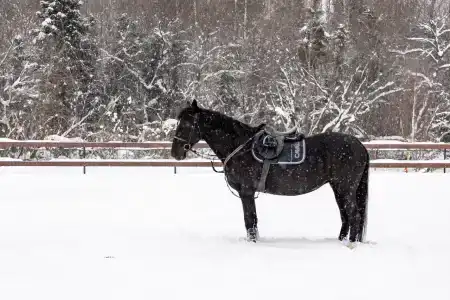 Четыре Сезона - 41