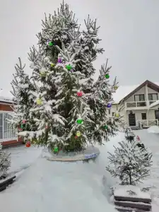 Гостевой дом на Кирова - 11