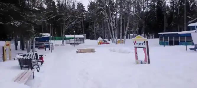 Звездочка - 25