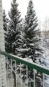 Лазурный - 31