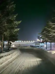 Черные камни - 41