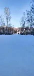 Долгий лог - 36