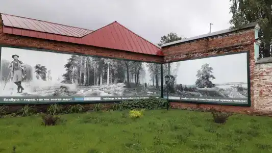 Шишкин - 25