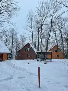 Алмаз - 29