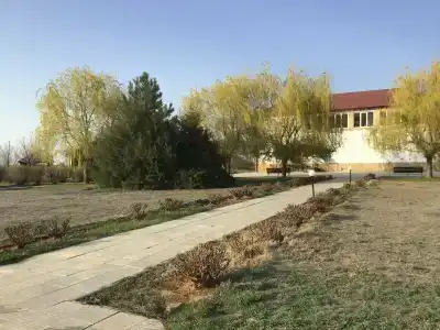 Волга-Волга - 4