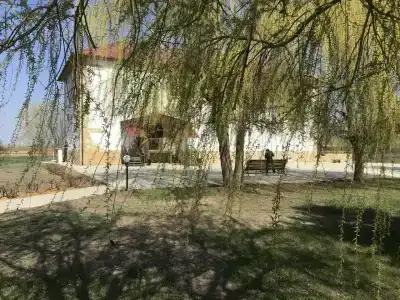 Волга-Волга - 42