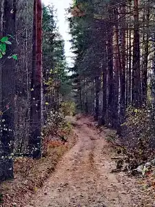 Михайлова Слобода - 27
