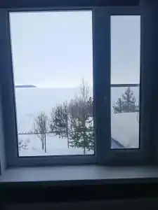 Коди Ярви - 20