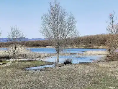 Скелепарк - 50